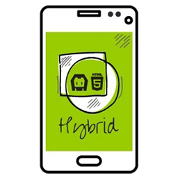 APP Hybrid